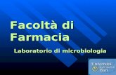 Facoltà di Farmacia Laboratorio di microbiologia