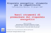 Risparmio energetico: strumento per la competitività Confindustria Mantova, 22 giugno 2007