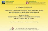 IL TEMPO  DI  PUGLIA Il Servizio Agrometeorologico della Regione Puglia