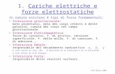 1.  Cariche elettriche e forze elettrostatiche