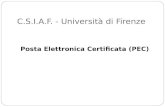 C.S.I.A.F. -  Università di  Firenze