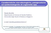 Caratteristiche microbiologiche, patogenetiche ed epidemiologiche di  Legionella  spp.