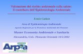Area di Epidemiologia Ambientale Agenzia Regionale per la Protezione Ambientale del Piemonte