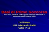 Dr Gf Biasio U.O. Laboratorio Analisi ULSS n° 15