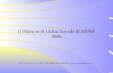 Il Bilancio di Utilità Sociale di ASPeF 2005