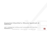 Expected Shortfall e Misure Spettrali di Rischio:
