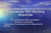 Esperienza TAVI Nursing  Niguarda