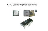 I componenti di un Sistema di elaborazione. CPU (central process unit)