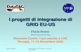 I progetti di integrazione di GRID EU-US