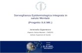 Sorveglianza Epidemiologica integrata in salute Mentale  (Progetto S.E.ME.)