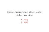 Caratterizzazione strutturale delle proteine