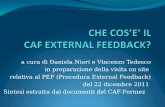 CHE COS’E’ IL  CAF EXTERNAL FEEDBACK?