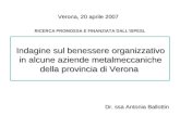 Indagine sul benessere organizzativo in alcune aziende metalmeccaniche della provincia di Verona