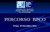 PERCORSO  BPCO Prato, 19 Dicembre 2012