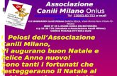 Associazione  Canili Milano  Onlus