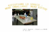 S.M.S. Quarini – Chieri a.s 08/09 3 ª  B e 3 ªE  Prof L. Gervasio e L. Guandalini
