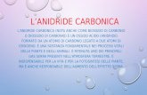 L’anidride Carbonica
