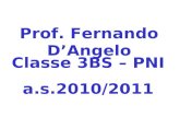 Prof. Fernando D’Angelo