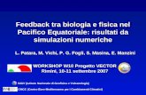 Feedback tra biologia e fisica nel Pacifico Equatoriale: risultati da simulazioni numeriche