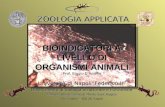 BIOINDICATORI A LIVELLO DI ORGANISMI ANIMALI Prof. Biagio D’Aniello