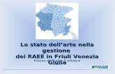 Lo stato dell’arte nella gestione  dei RAEE in Friuli Venezia Giulia