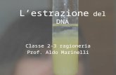 L’estrazione  del DNA