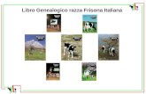 Libro Genealogico razza Frisona Italiana