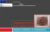 PROGETTO FEI A.S. 2012-2103