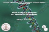 Università degli Studi di Pavia – Dipartimento di Chimica Organica 15 dicembre 2005