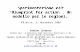 Sperimentazione del “Blueprint for action”. Un modello per le regioni. Firenze, 21 Novembre  2005
