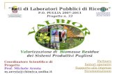 “Reti di Laboratori Pubblici di Ricerca” P.O. PUGLIA 2007-2013 Progetto n. 33