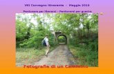 VIII Convegno Itinerante  -  Maggio 2012
