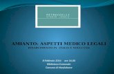 AMIANTO:  ASPETTI MEDICO LEGALI RISARCIMENTO IN   ITALIA E NEGLI USA