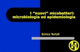 I “nuovi” micobatteri:  microbiologia ed epidemiologia
