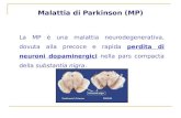 Malattia di Parkinson (MP)