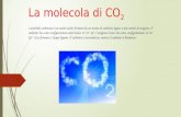 La molecola di CO 2