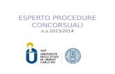 ESPERTO PROCEDURE CONCORSUALI a.a .201 3/2014
