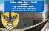 Università degli Studi L’Aquila Dipartimento  MESVA C.L.O.P.D.  Dir. Prof. Roberto Gatto