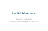 Lipidi & Membrane