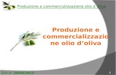 Produzione e commercializzazione olio d’oliva