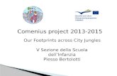 Comenius project 2013-2015