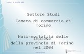 Settore Studi Camera di commercio di Torino Nati-mortalità delle imprese  della provincia di Torino nel 2004