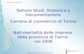 Settore Studi, Statistica e Documentazione Camera di commercio di Torino Nati-mortalità delle imprese  della provincia di Torino nel 2006