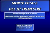 MORTE FETALE  DEL III TRIMESTRE