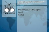 Meeting 12-13 Giugno 2013 Roma