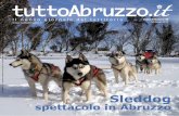 tuttoAbruzzo.it - n.40 Febbraio 2011