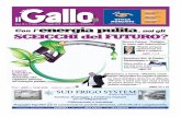 il Gallo Numero 12_2010 Edizione Sud Salento