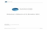 Relazione e bilancio Gascom