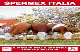 SPERMEX Italia - Pezzata Rossa Dicembre 2012