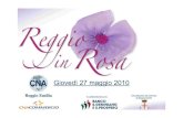 Reggio in Rosa 2010